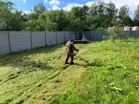 Покос газона у дома